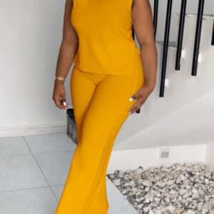 Women's Solid Color Crew Neck Split Sleeveless Top Casual Pants Set