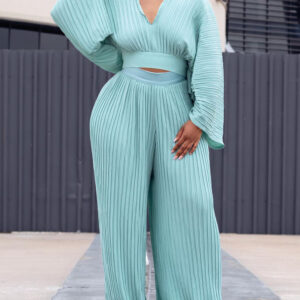 Women's Loose Pleated V-neck Top Wide-leg Pants Two-piece Set